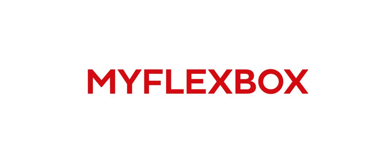 MYFLEXBOX logo farbig